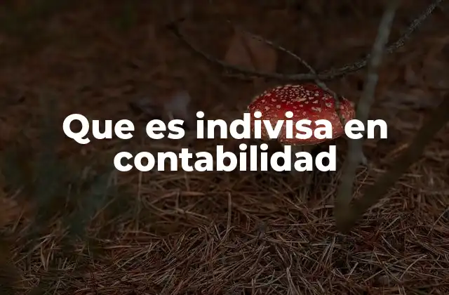 Que es Indivisa en Contabilidad