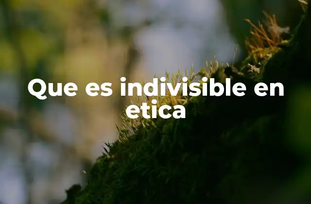La indivisibilidad como base de la justicia social
