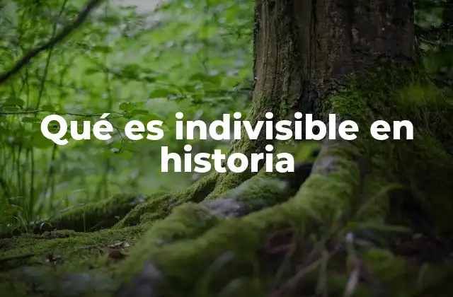 La noción de indivisibilidad en contextos históricos