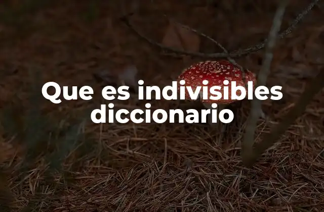 Que es Indivisibles Diccionario