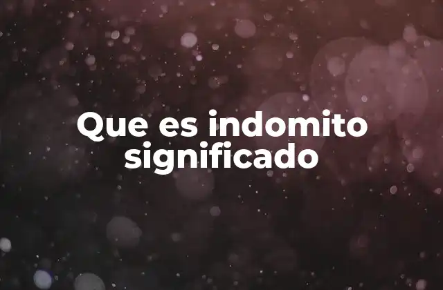 Que es Indomito Significado