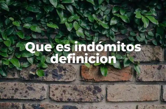 Que es Indómitos Definicion 2 Características de lo que se considera indómito