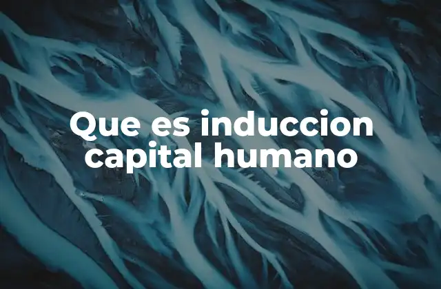 Que es Induccion Capital Humano