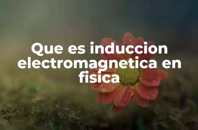 Que es Induccion Electromagnetica en Fisica