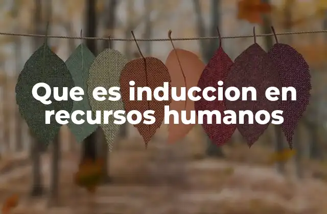 Que es Induccion en Recursos Humanos