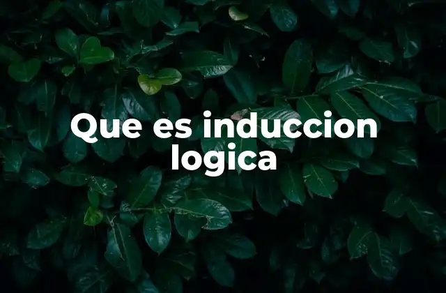 Que es Induccion Logica