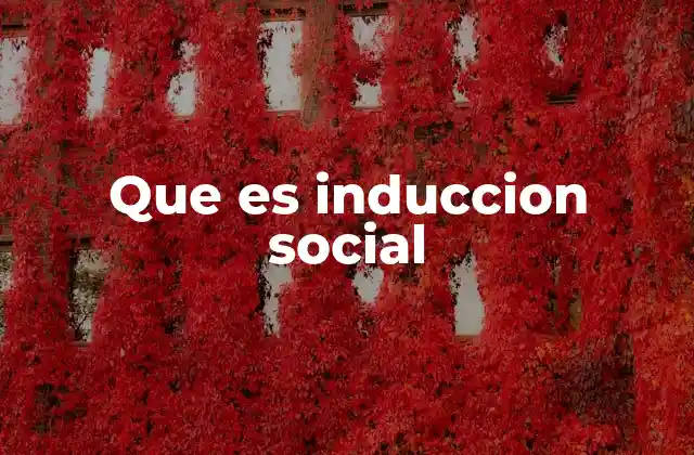 Que es Induccion Social