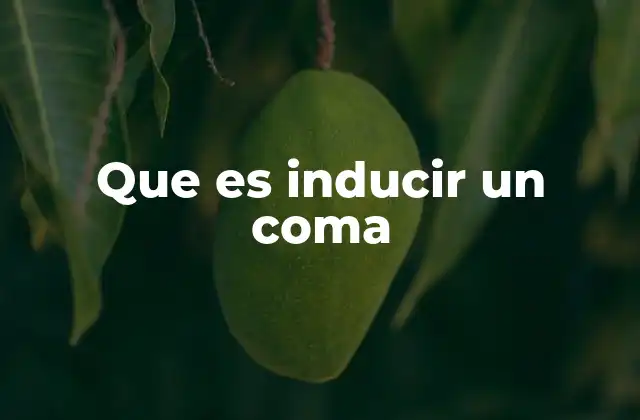 Que es Inducir un Coma