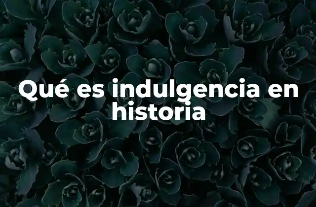 Qué es Indulgencia en Historia