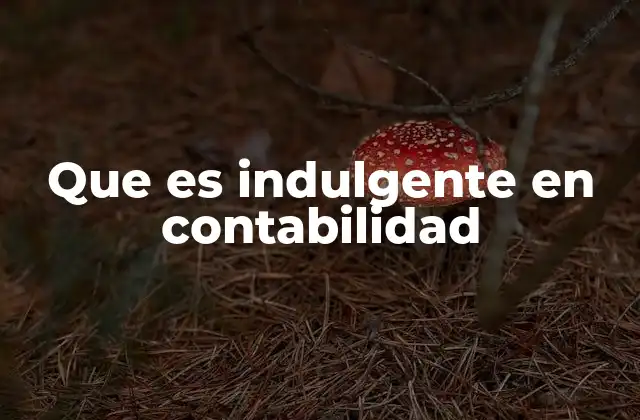 La flexibilidad en la interpretación contable