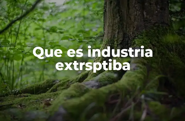 Que es Industria Extrsptiba