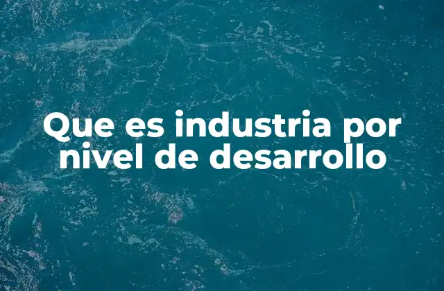 Que es Industria por Nivel de Desarrollo