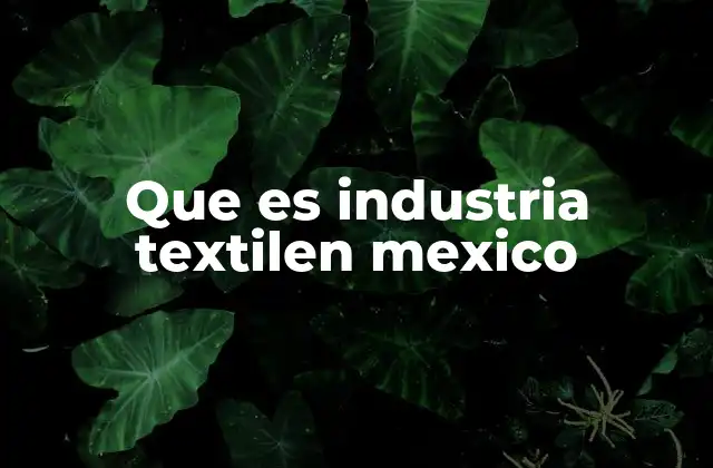 Que es Industria Textilen Mexico