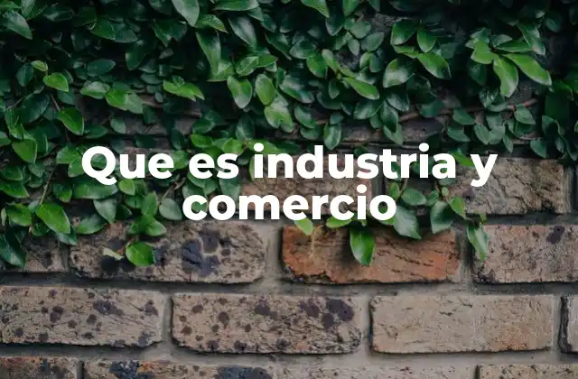 El papel del sector productivo y distributivo en la economía