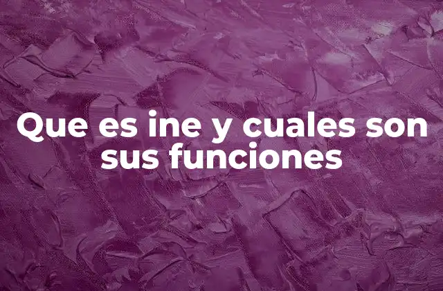 Que es Ine y Cuales Son Sus Funciones