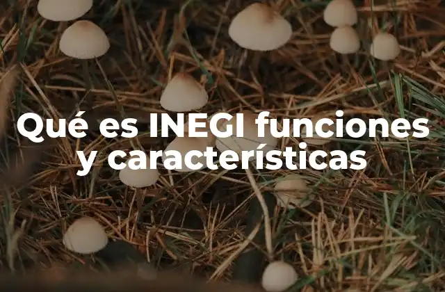 Qué es Inegi Funciones y Características