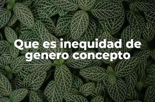 Que es Inequidad de Genero Concepto 2 La brecha invisible entre los géneros