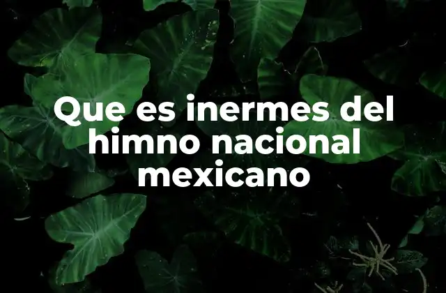 La importancia de las palabras en el himno nacional