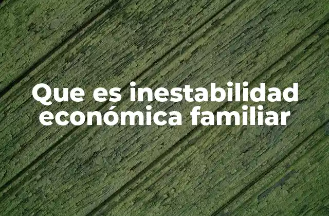 Que es Inestabilidad Económica Familiar