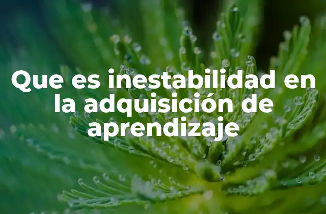 Que es Inestabilidad en la Adquisición de Aprendizaje