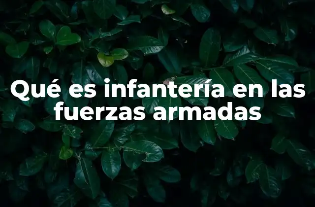 Qué es Infantería en las Fuerzas Armadas