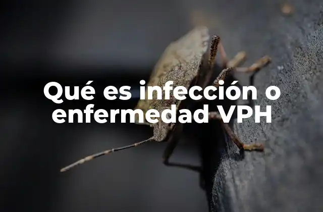 Qué es Infección o Enfermedad Vph
