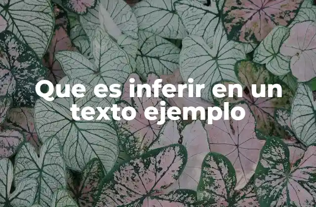 Que es Inferir en un Texto Ejemplo