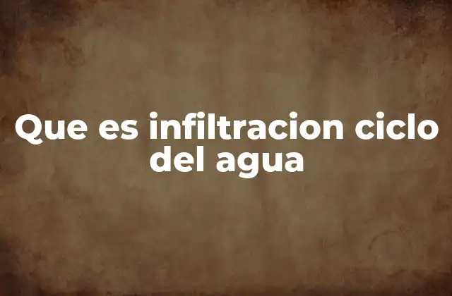 Que es Infiltracion Ciclo Del Agua