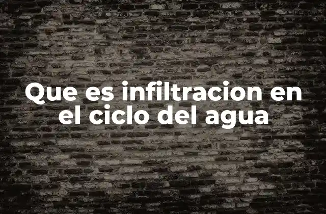 Que es Infiltracion en el Ciclo Del Agua