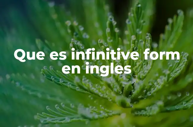 Que es Infinitive Form en Ingles 2 La importancia de la infinitive form en la gramática inglesa