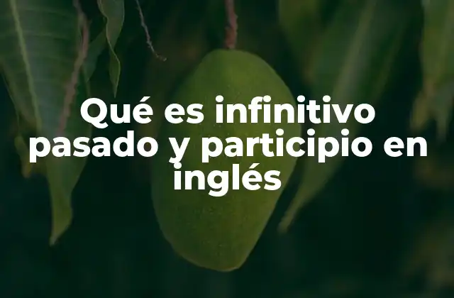 Qué es Infinitivo Pasado y Participio en Inglés
