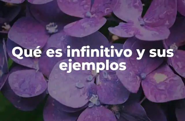 Qué es Infinitivo y Sus Ejemplos