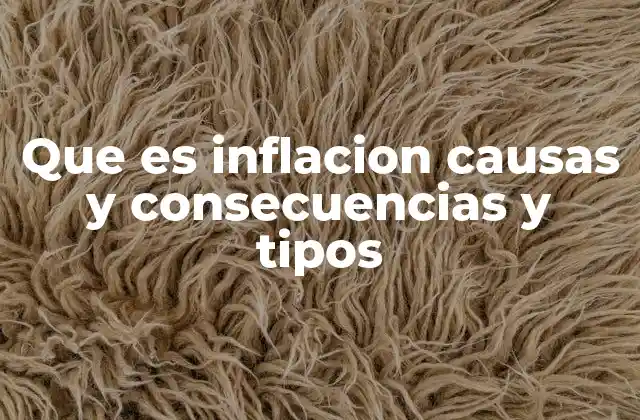 Que es Inflacion Causas y Consecuencias y Tipos