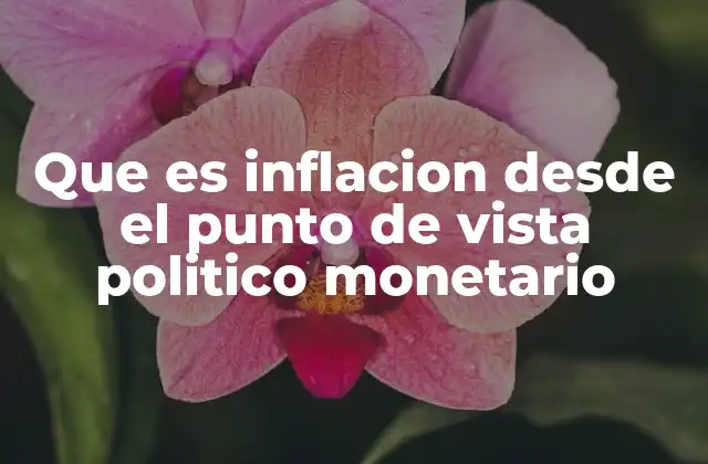 Que es Inflacion desde el Punto de Vista Politico Monetario