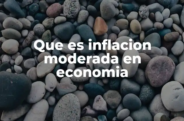 Que es Inflacion Moderada en Economia