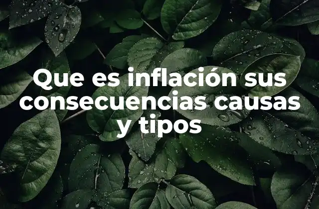 Que es Inflación Sus Consecuencias Causas y Tipos
