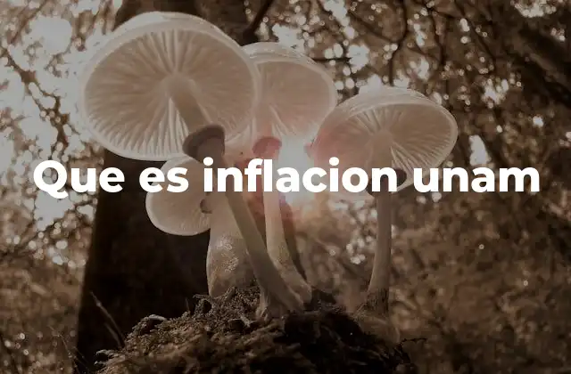 Que es Inflacion Unam