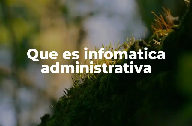 Que es Infomatica Administrativa