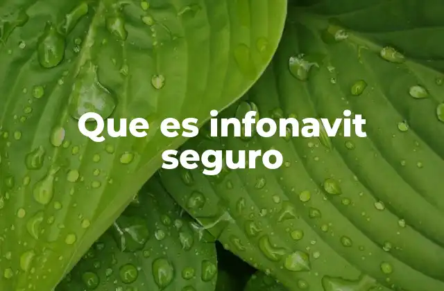 Que es Infonavit Seguro