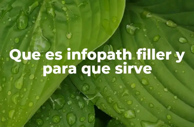 La importancia de los formularios digitales en la gestión empresarial