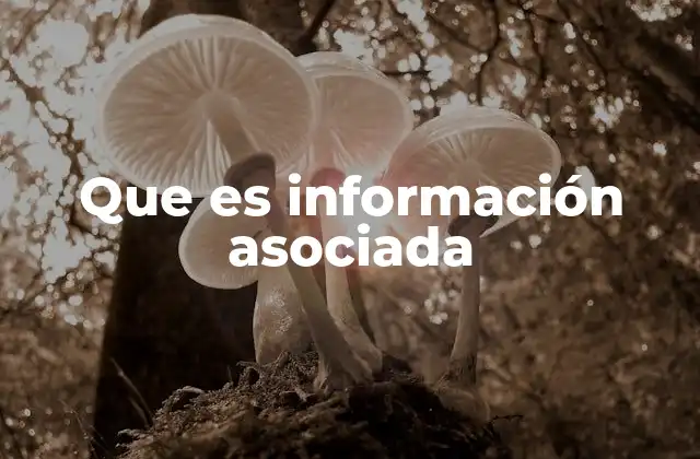 Que es Información Asociada