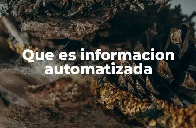 Que es Informacion Automatizada