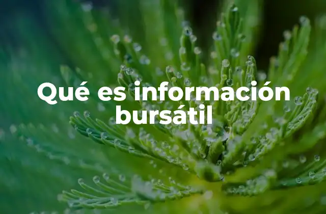 Qué es Información Bursátil