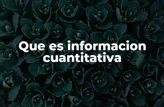 Que es Informacion Cuantitativa