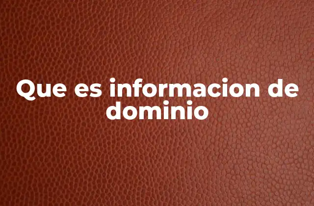 Que es Informacion de Dominio 2 La importancia de entender el contexto del dominio