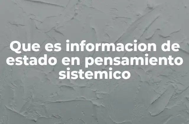 Que es Informacion de Estado en Pensamiento Sistemico