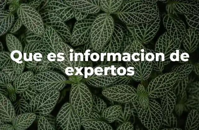 Que es Informacion de Expertos