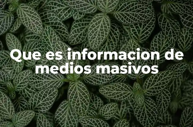 Que es Informacion de Medios Masivos