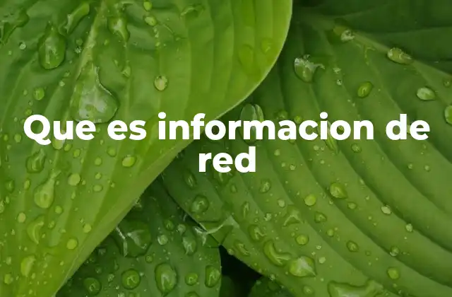 Que es Informacion de Red