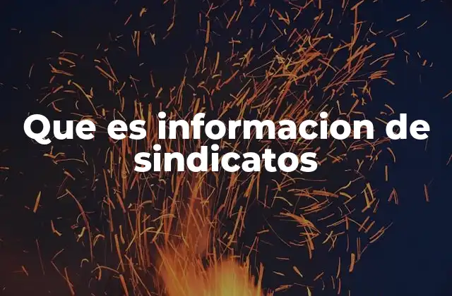 Que es Informacion de Sindicatos